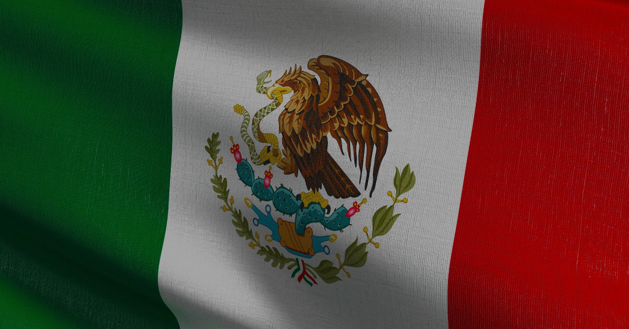 Flag of Mexico waving.