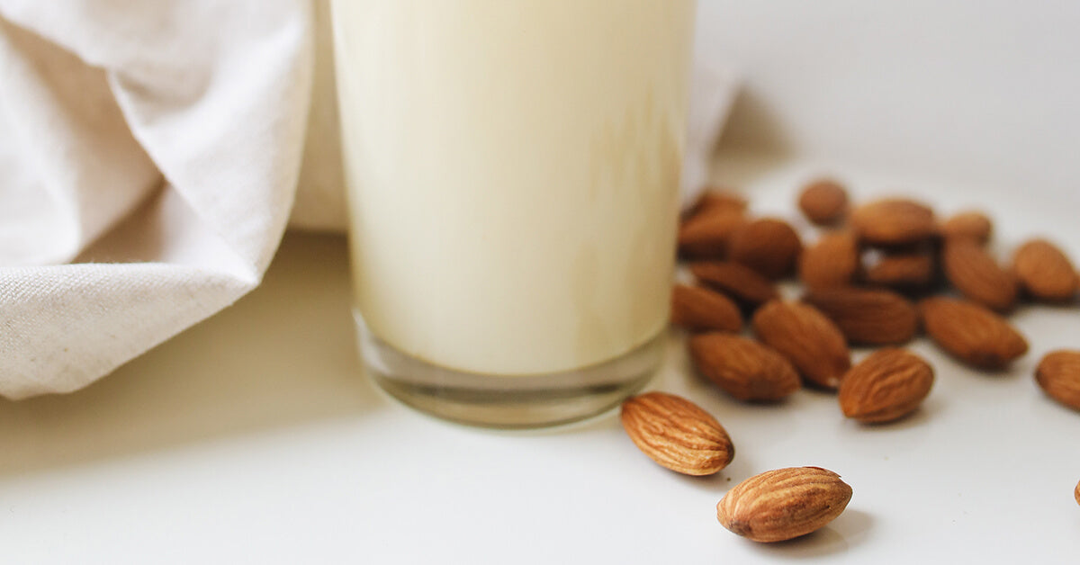 4 Best Milk Alternatives For Coffee: Which Is Right for You?