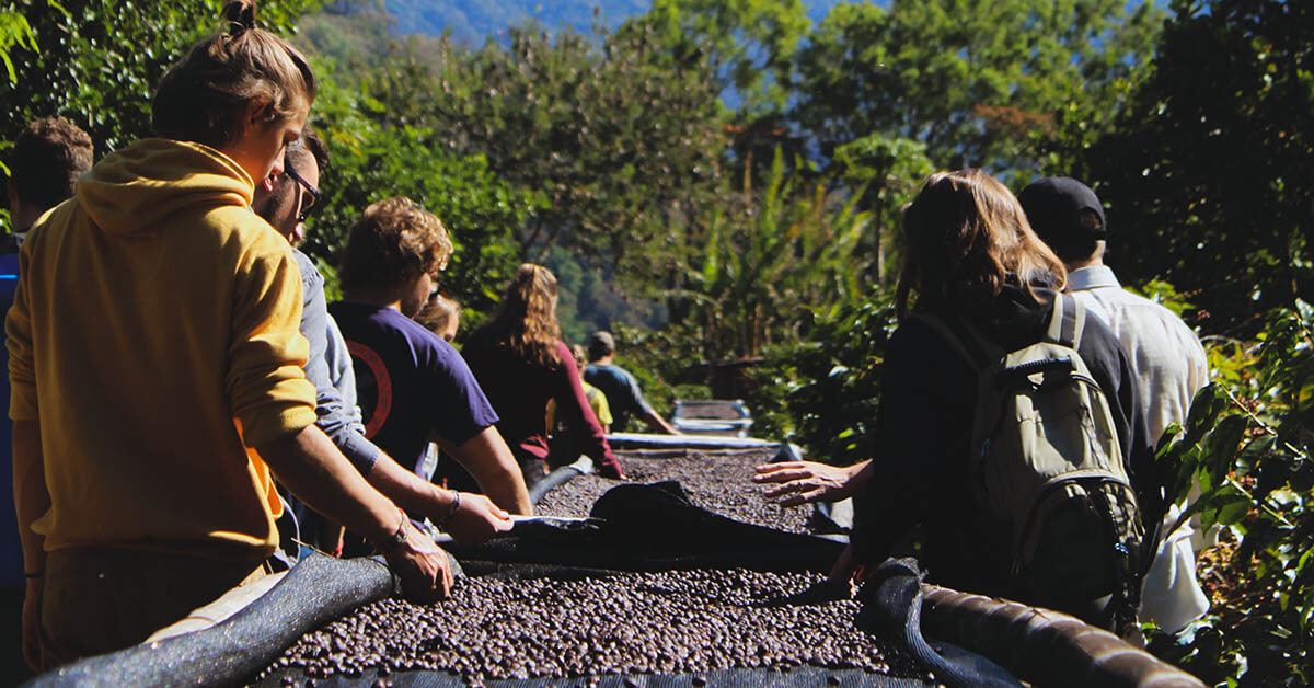 Group of people learning how coffee is made