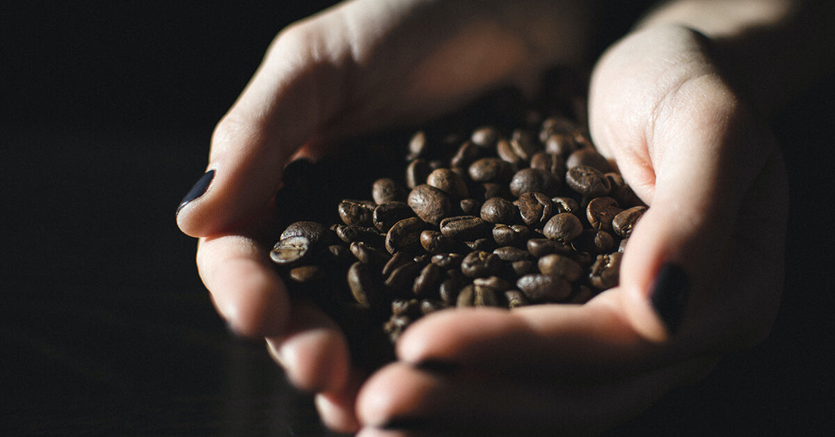 Hands holding some dark roast coffee beans