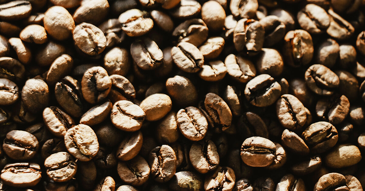 Light roast coffee beans