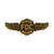 Sticker with FDC's maltese cross logo in gold and black with golden wings on either side.